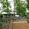 Dog-Friendly Xeriscaping: Tips and Ideas for a Low-Maintenance, Pet-Friendly Yard
