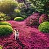 Red Creeping Thyme: The Perfect Lawn Alternative for Dog Owners