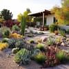 Revamp Your Yard with Dog-Friendly Xeriscape Designs: A Guide to Heat-Tolerant Landscaping