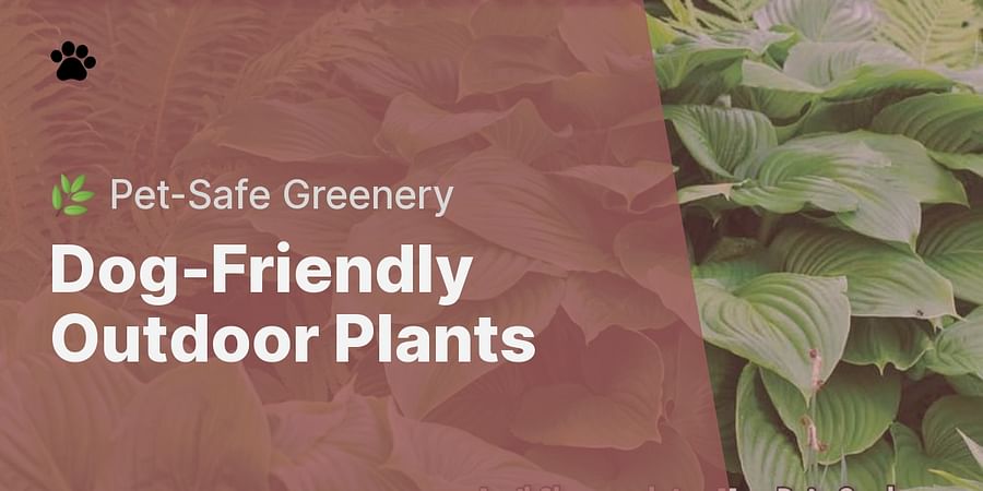 Dog-Friendly Outdoor Plants - 🌿 Pet-Safe Greenery