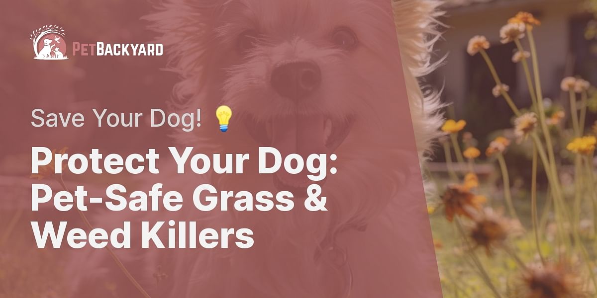 Is Your Grass Killing Your Dog? An Exploration of Pet-Safe Grass and ...