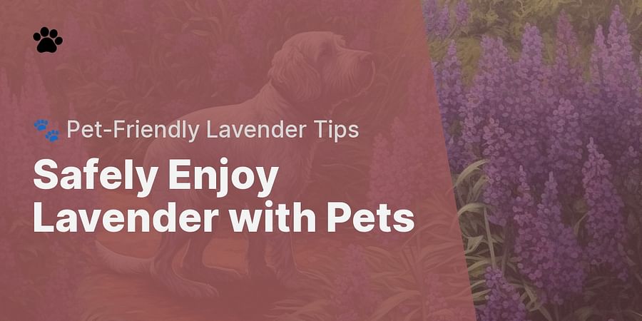 Safely Enjoy Lavender with Pets - 🐾 Pet-Friendly Lavender Tips