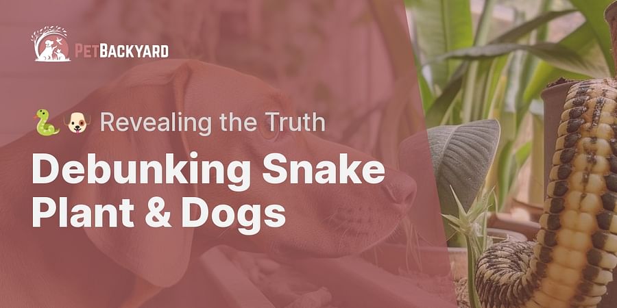 Debunking Snake Plant & Dogs - 🐍🐶 Revealing the Truth