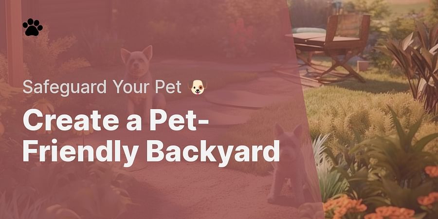 Create a Pet-Friendly Backyard - Safeguard Your Pet 🐶