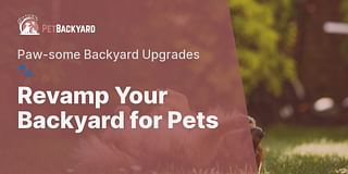 Revamp Your Backyard for Pets - Paw-some Backyard Upgrades 🐾
