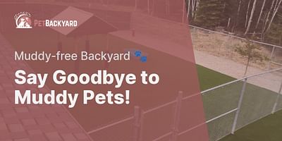 Say Goodbye to Muddy Pets! - Muddy-free Backyard 🐾