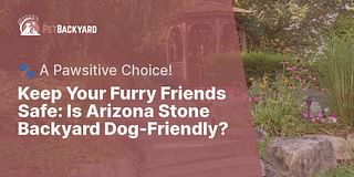 Keep Your Furry Friends Safe: Is Arizona Stone Backyard Dog-Friendly? - 🐾 A Pawsitive Choice!