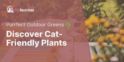 Discover Cat-Friendly Plants - Purrfect Outdoor Greens 🌿