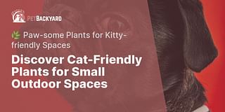 Discover Cat-Friendly Plants for Small Outdoor Spaces - 🌿 Paw-some Plants for Kitty-friendly Spaces