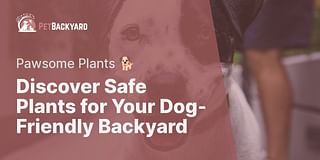 Discover Safe Plants for Your Dog-Friendly Backyard - Pawsome Plants 🐕