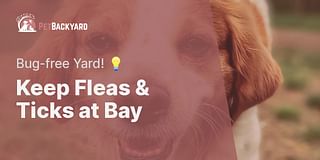 Keep Fleas & Ticks at Bay - Bug-free Yard! 💡