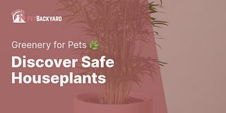 Discover Safe Houseplants - Greenery for Pets 🌿