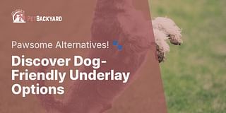 Discover Dog-Friendly Underlay Options - Pawsome Alternatives! 🐾