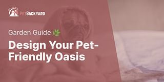 Design Your Pet-Friendly Oasis - Garden Guide 🌿