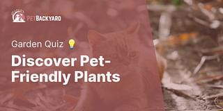 Discover Pet-Friendly Plants - Garden Quiz 💡