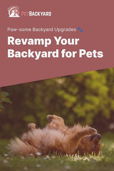 Revamp Your Backyard for Pets - Paw-some Backyard Upgrades 🐾