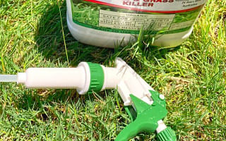 Is there a pet-friendly lawn fertilizer?
